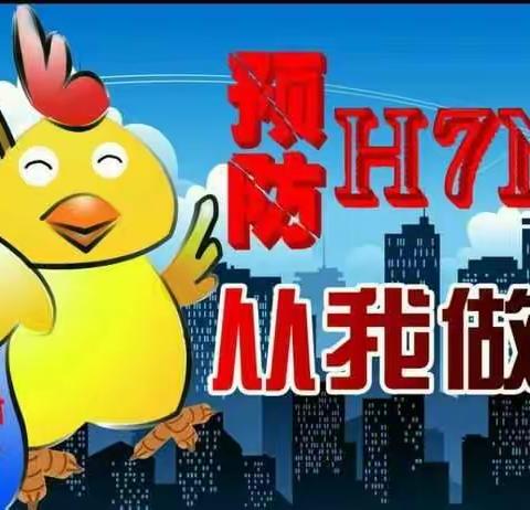 西安市第七十中学 H7N9禽流感知识普及