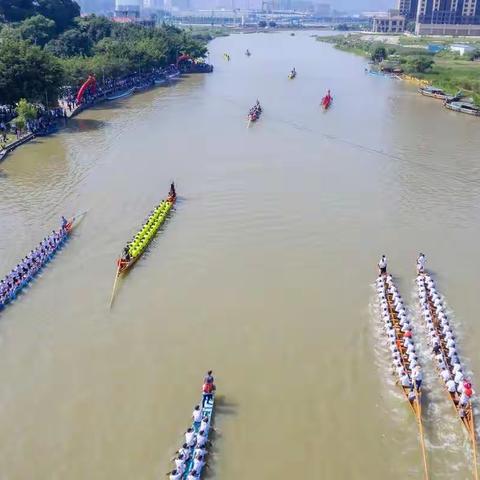 故乡的龙舟（2019年）