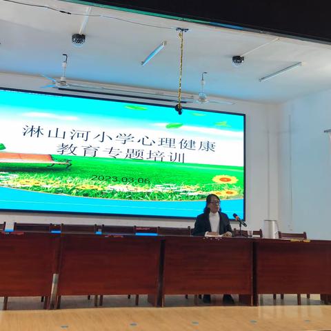 【党建➕教学】2023年春淋山河小学心理健康教育专题培训会