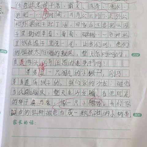 四年级优秀作文