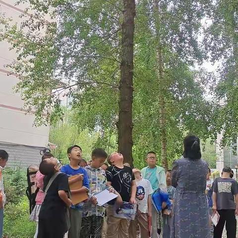 三年级优秀作文——找夏天