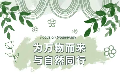 为万物而来  与自然同行——5月22日世界生物多样性日主题活动