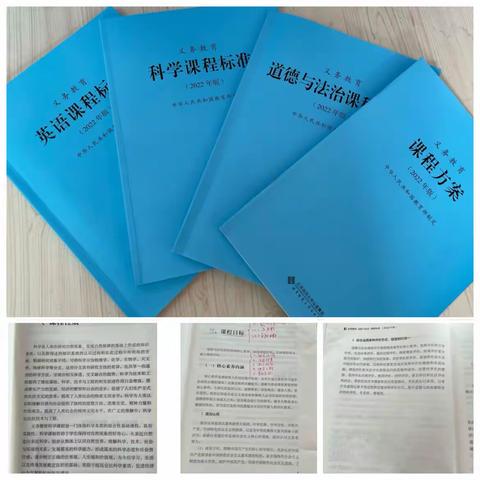 【党建+教研】践行新课标 把握新理念——2022年九月方高坪小学综合组学习新课标教研活动