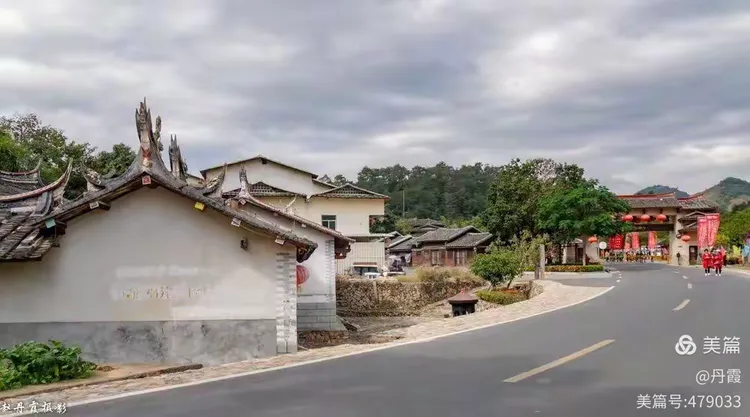 福建三角梅基地批发市场在哪里