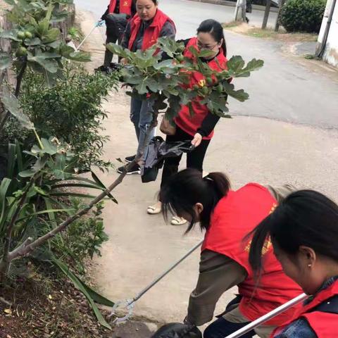 环境卫生巡查整治，助推文明城市创建