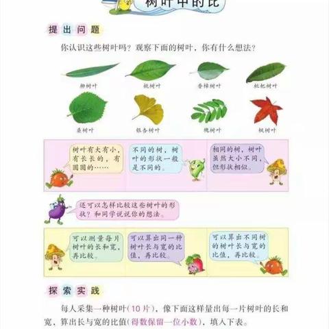 数学之趣——树叶中的比