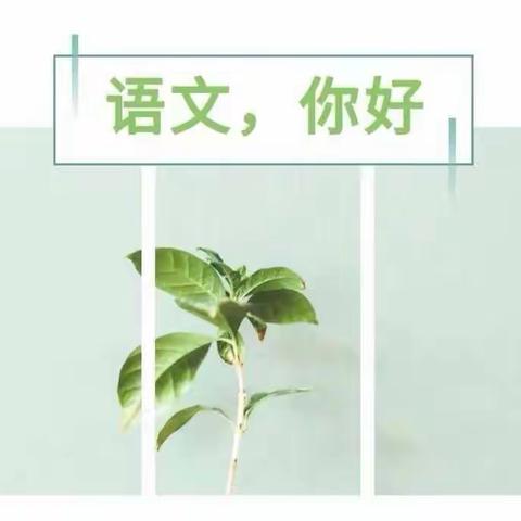 聚力课堂芳华初绽——启明中学小学部新进老师汇报课