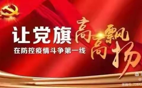 党建引领筑堡垒，抗疫一线勇担当——南大街社区党支部联合城区审计局开展"疫情阻击战，一线党旗红"主题党日活动