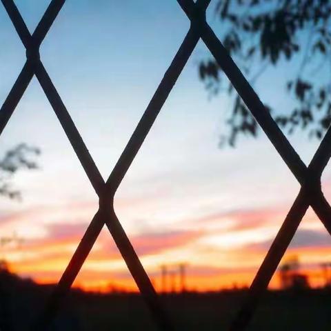 滴滴香浓，意犹未尽。