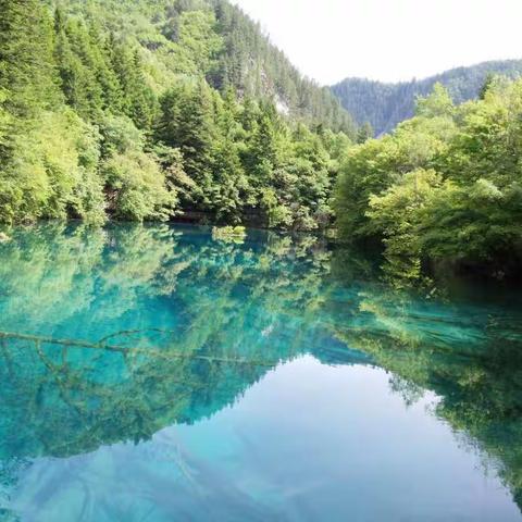 蜀山自古称峨眉，峨眉哪比九寨奇？碧湖相连群瀑叠，水光山色仙境开。