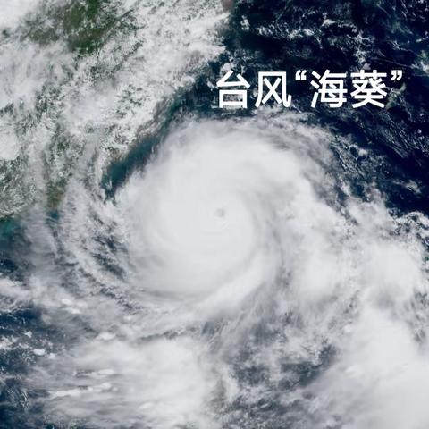 携手共进——面对台风“海葵”挑战，我们众志成城
