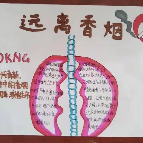 无烟生活，为健康护航——济阳区第二实验小学四（2）中队开展世界无烟日主题活动