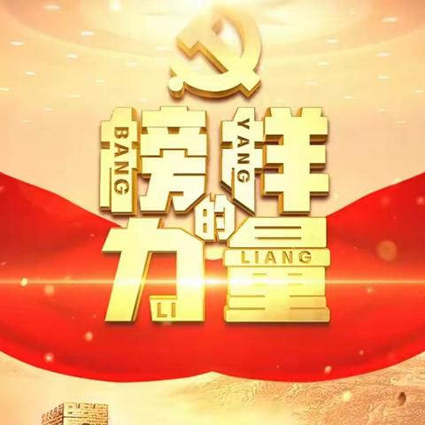 闪亮的勋章，榜样的力量——海口二中组织全体党员观看《榜样的力量——王书茂》电视节目