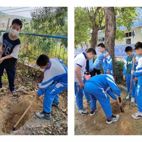 “弘扬雷锋精神 我为春天添抹绿”——台山市川岛镇中心小学植树节主题活动