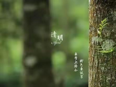 刘店乡中心小学三年级一班—清明节 缅怀先烈 传统美德