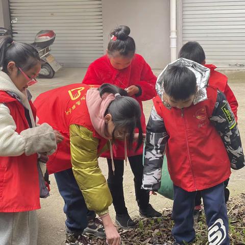 向未来_实小少年洁美庭院