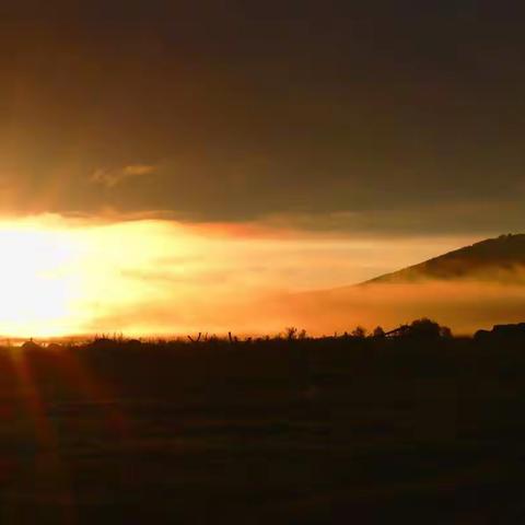 东北草原呼伦贝尔