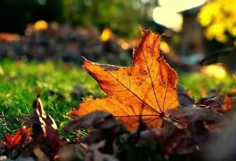 拿不起的是勇气   放不下的是情绪