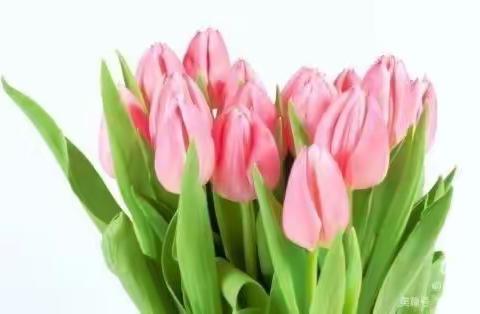 惠画堂儿童中班（郁金香）