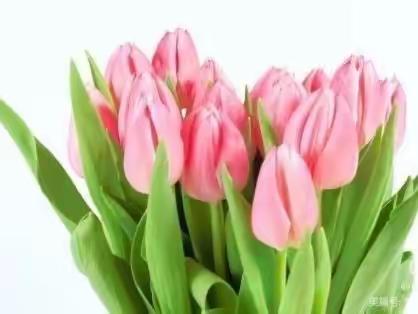 惠画堂儿童中班（郁金香）