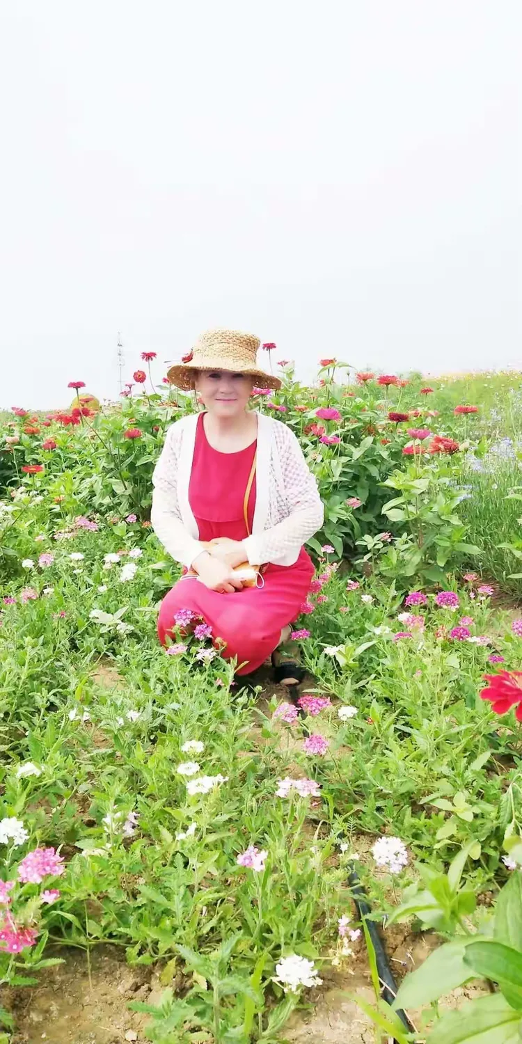 山花绽放电影观后感图片