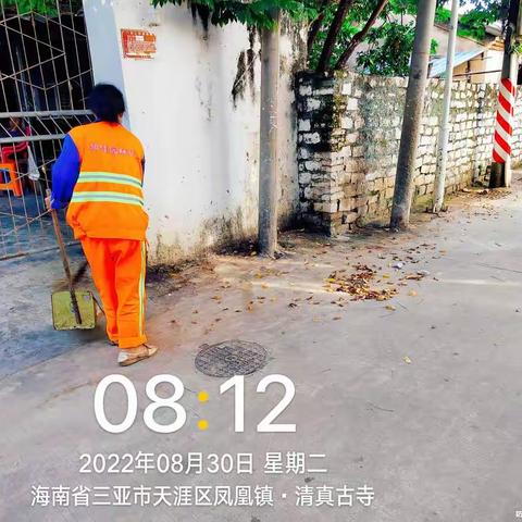 2022年8月30日天涯区九队自查自纠工作日报