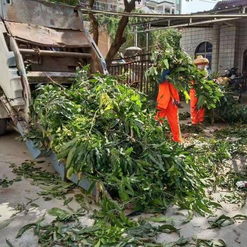 2022年8月23日天涯区九队自查自纠问题工作日报