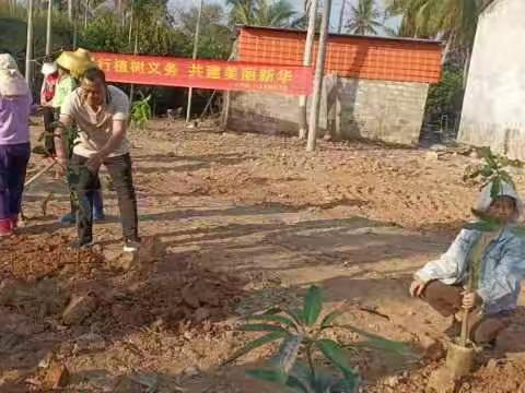 开展植树造林活动