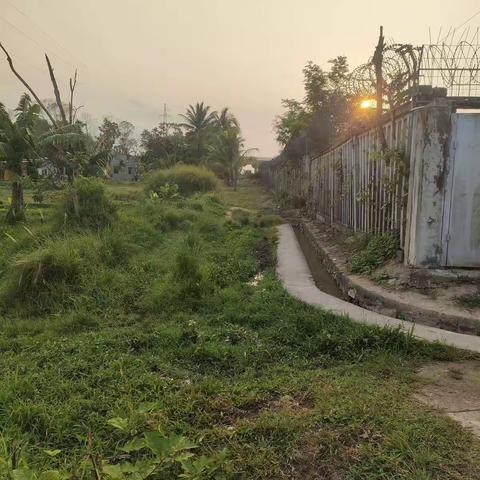 2022年4月13日上午，新华村按工作指示对高铁两傍沿线巡查。