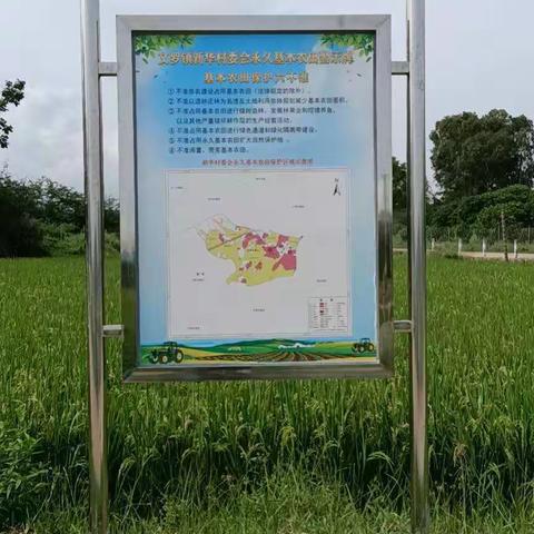文罗镇新华村委会定制制作永久基本农田保护警示牌及严禁露天燃烧桔杆、垃圾提示牌