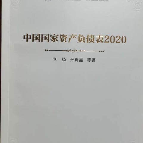 《中国国家资产负债表2020》