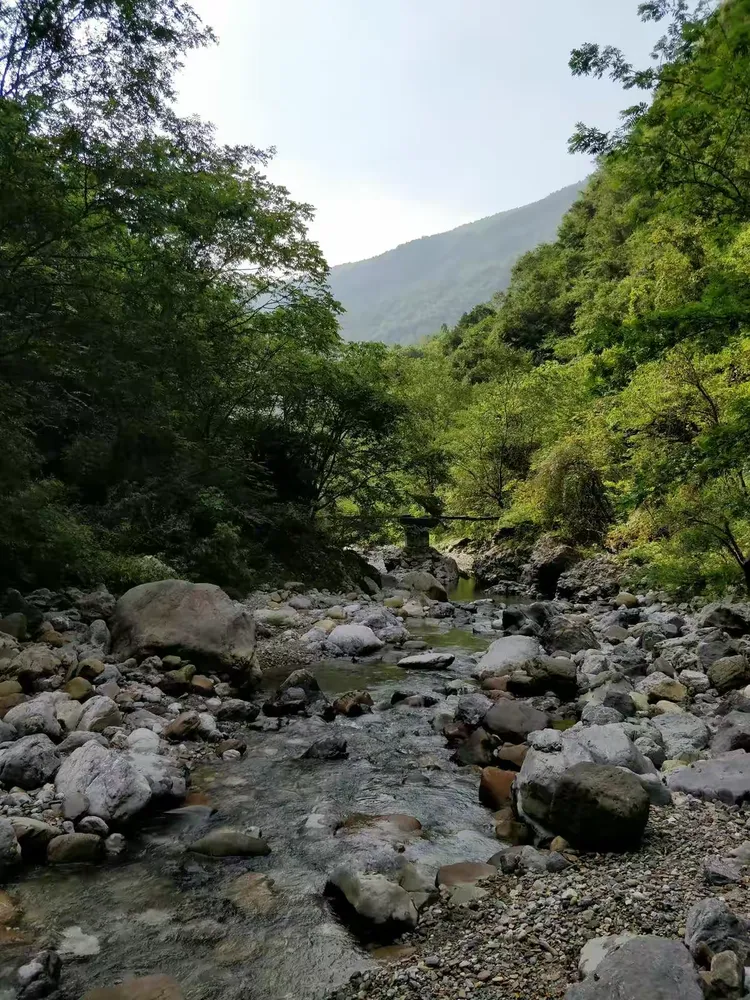 骆家坝回龙大峡谷图片