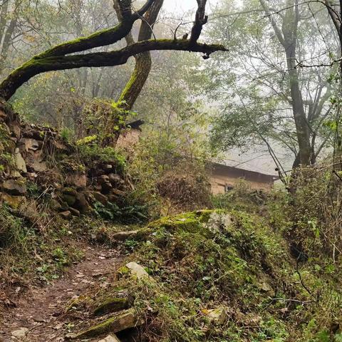 驴行秦岭 - 20231104 抱龙峪唐王寨休闲