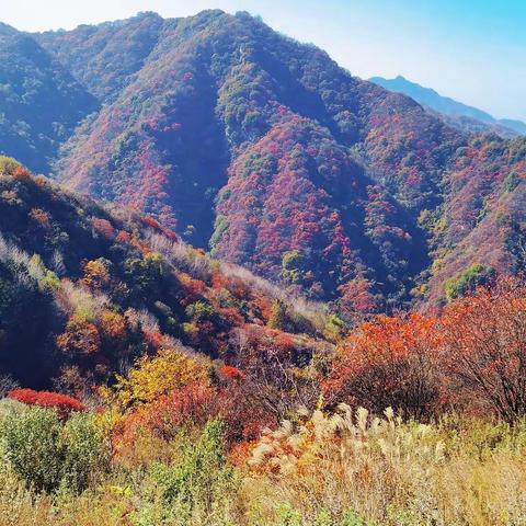 驴行秦岭 - 20231028 东天子峪小环线