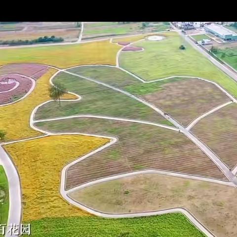 我的家乡颜诗茵郑梁梅小学二年级11班
