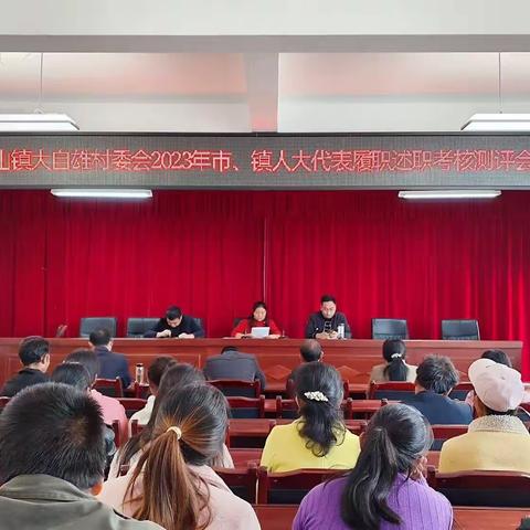 以述职促履职 | 中山镇大自雄村开展人大代表向原选区选民述职评议活动