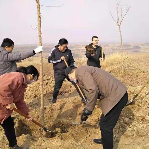 春季植树，为“创森”增绿添彩