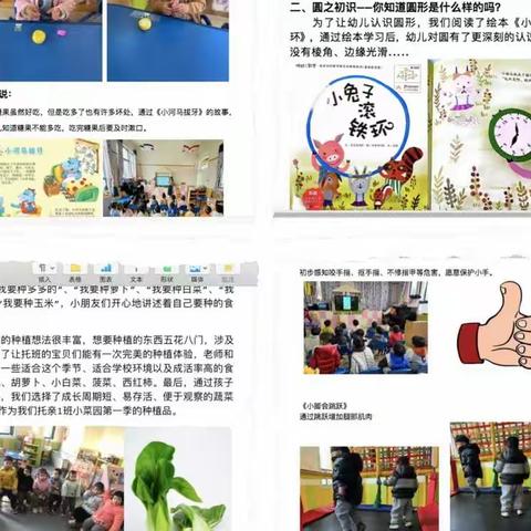 【队伍建设强化年】行多彩课程 叙童真故事—泗洪县育才实验幼儿园课程故事评比活动