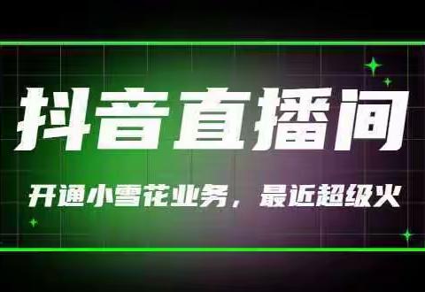 抖音直播间开小雪花教学资料课程 抖音直播间开小雪花学习 培训 视频 教程