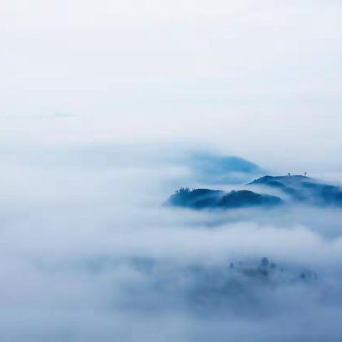 浙江茗岙 晨雾和梯田