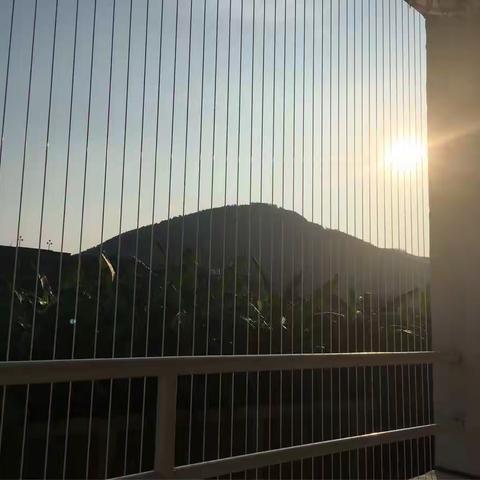 第二天：慢慢习惯这样的生活