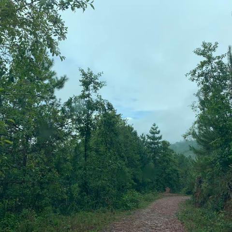 一路风雨一路情——家访第三天