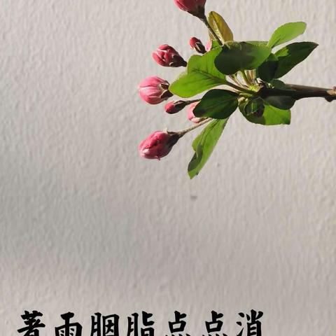 手机拍照小品