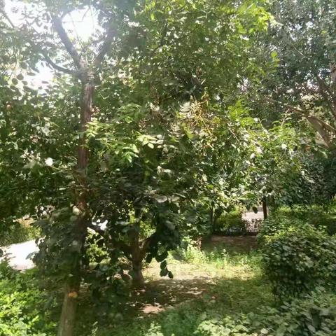 读书.旅行.收获