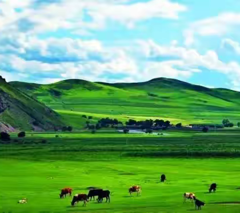 不负光阴不负自己-畅游内蒙大草原