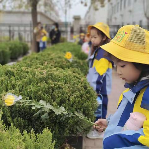 【清明追思，家国永念！不忘历史，致敬英雄】