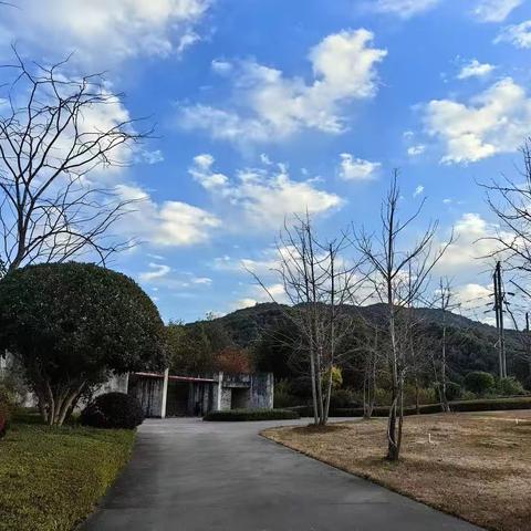 心理学者旅居腾冲日记（之二）蓝天，白云，新鲜空气，山间食材