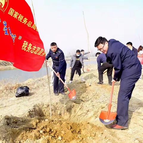 植树节 ‖春天到了 我们植树去