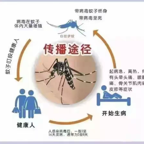 皇嘉宝贝托育园