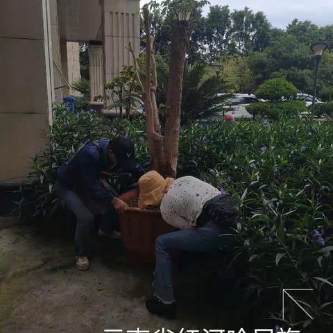 交通局物业服务工作简报（8月篇）